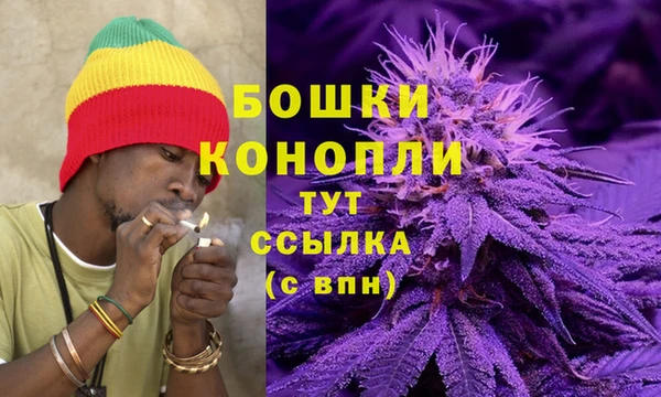 соль ск Липки