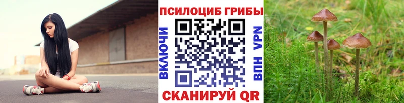 Псилоцибиновые грибы GOLDEN TEACHER  Купить где  Краснотурьинск 